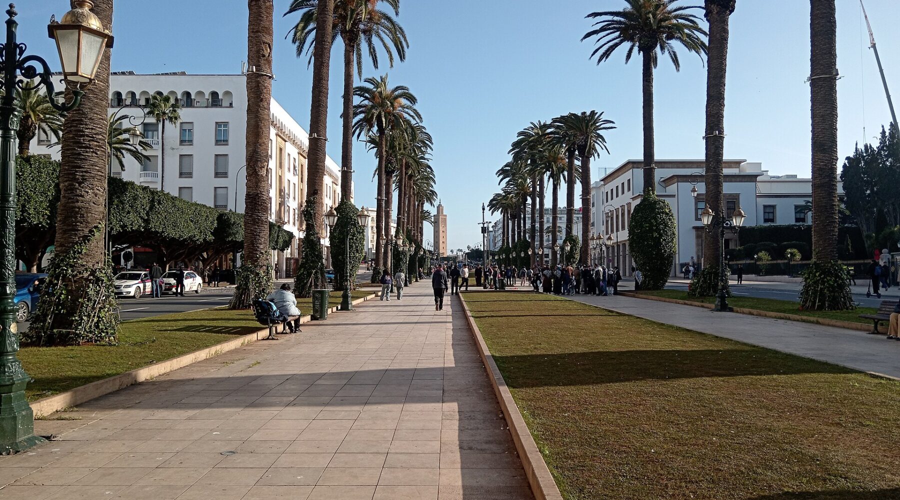 Avenue Mohammed V à Rabat, bordée de palmiers, sous un ciel bleu
