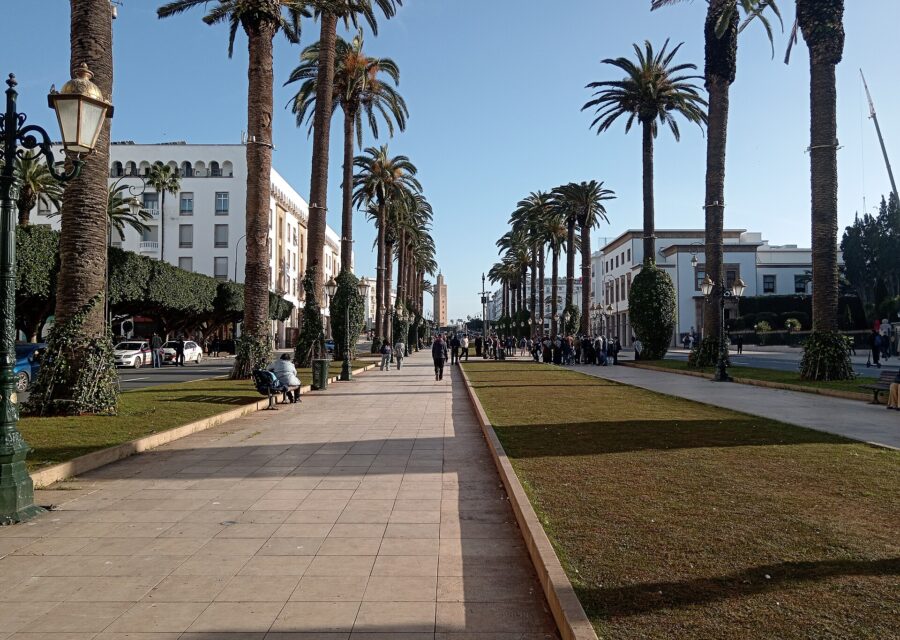 Avenue Mohammed V à Rabat, bordée de palmiers, sous un ciel bleu